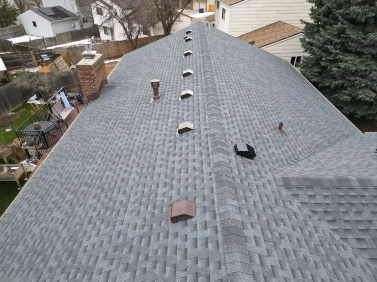 Gray shingled house roof with multiple vents and chimneys, seen from above. Surrounding area includes a backyard with a fence, patio, trees, and neighboring homes.
