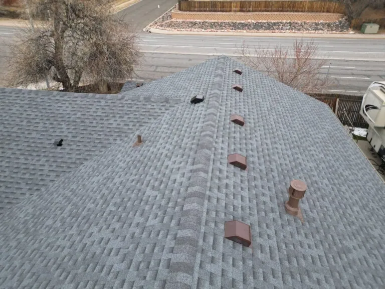 A rooftop with gray shingles, several brown and black vents, a chimney pipe, and a street in the background with a wooden fence and trees visible.