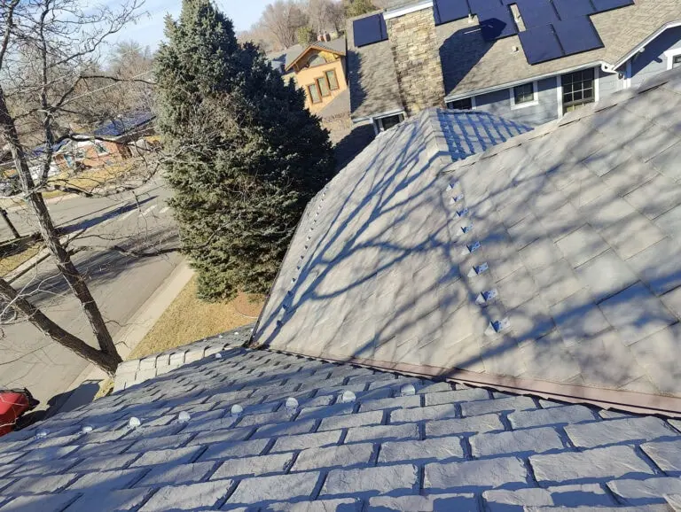 View from a rooftop showing gray shingles, solar panels on nearby roofs, and tree shadows cast across the roof. Houses, a street, and a large evergreen tree are visible in the background.