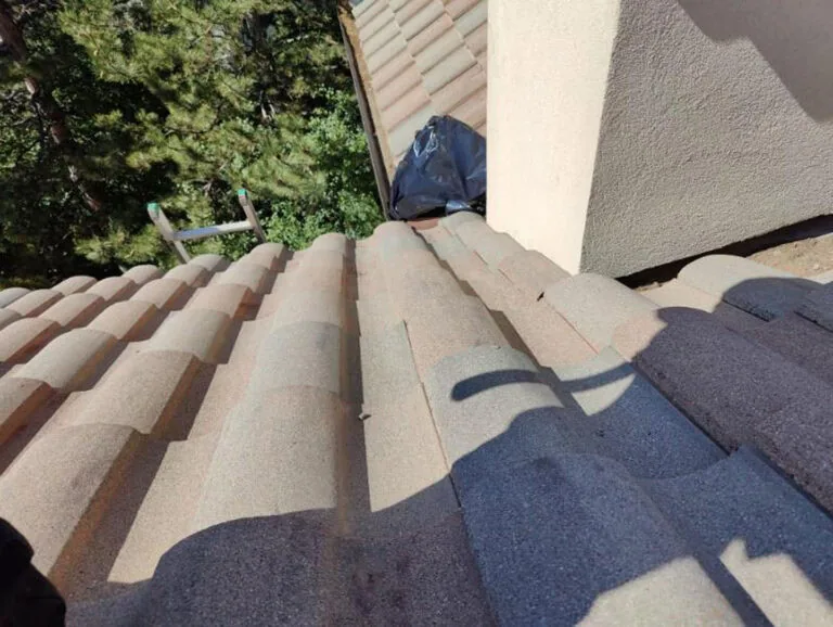 View of a tiled roof with tan and gray tiles, a ladder leaning against the side, trees in the background, and a black bag near the roof edge in sunlight.