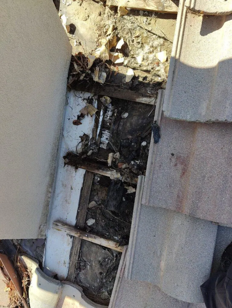 Close-up of a roof section with missing tiles, exposed wooden beams, debris, and signs of water damage and decay near the base of a wall.