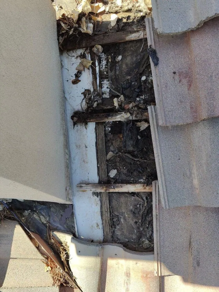 Close-up of a damaged roof with missing shingles and exposed wood, debris, and leaves lodged in gaps. The area shows significant wear and decay, with some tiles pushed aside, revealing the underlayment.
